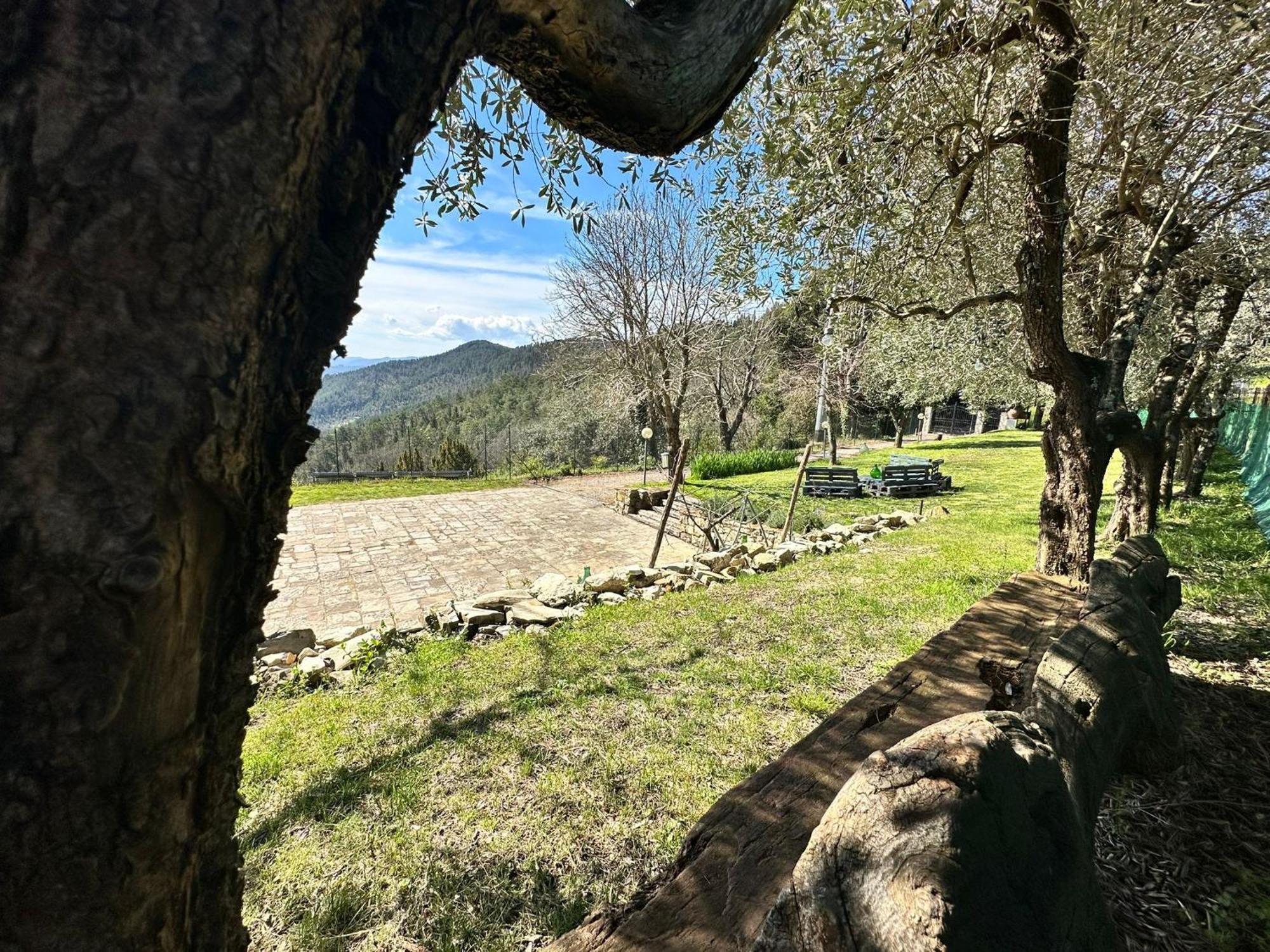 Agriturismo Tassinaia 波塔斯维 外观 照片