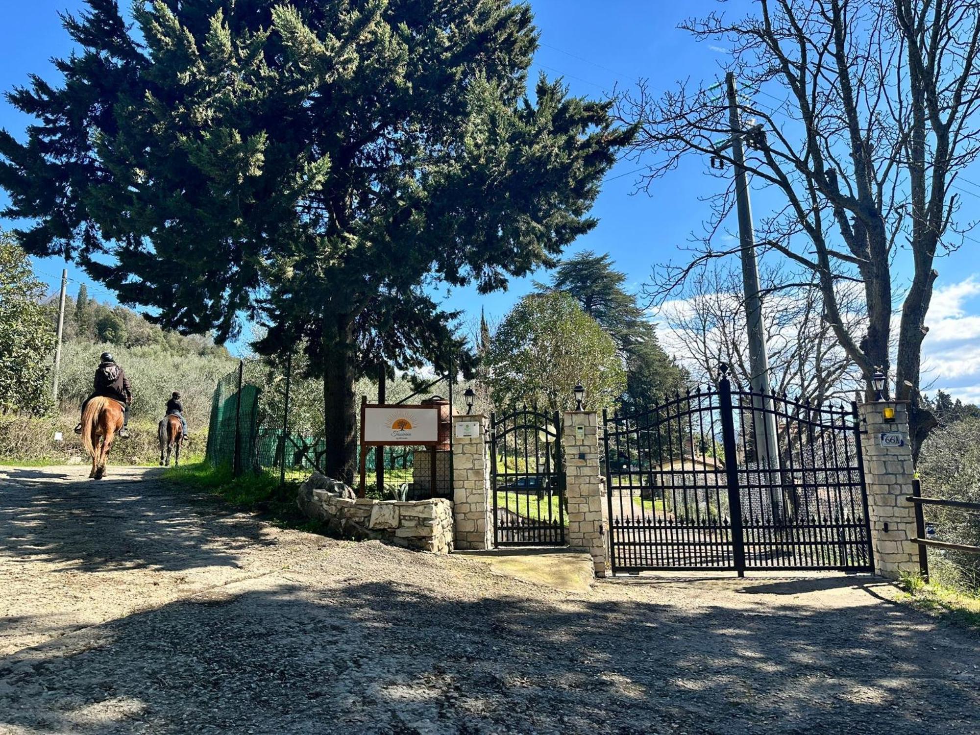 Agriturismo Tassinaia 波塔斯维 外观 照片
