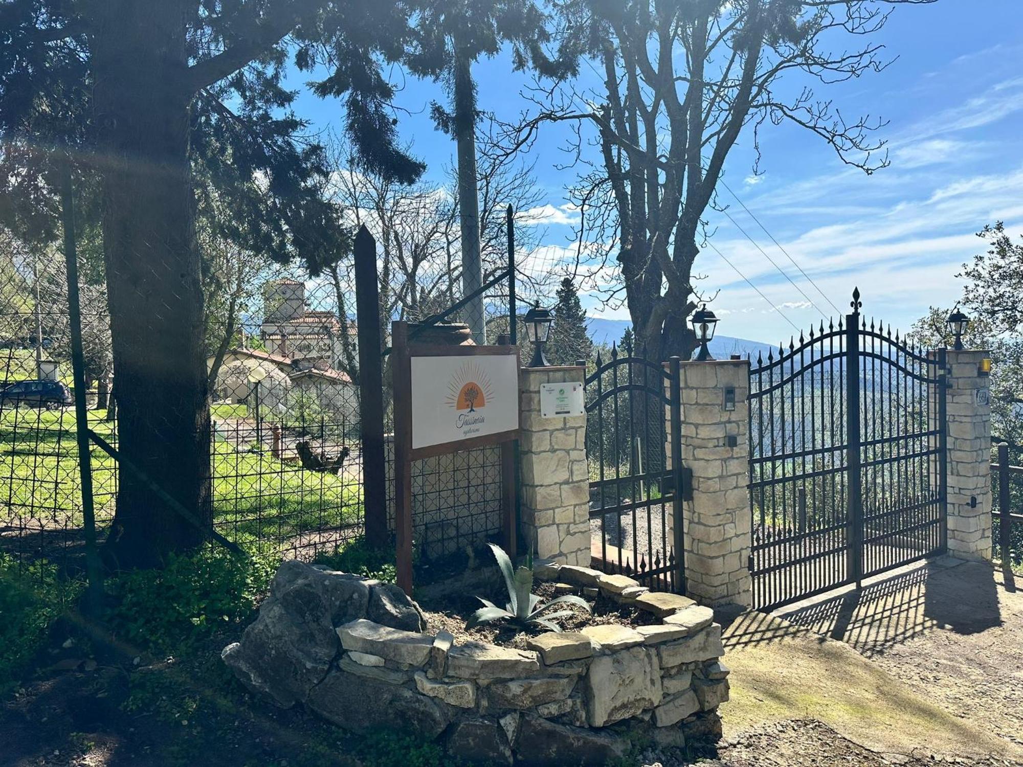 Agriturismo Tassinaia 波塔斯维 外观 照片